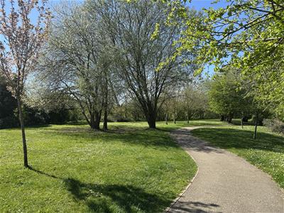 Picture 19